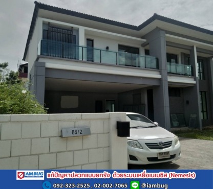 บริษัทกำจัดปลวกราคา - บริษัทกำจัดปลวก ปทุมธานี - ไอ แอม บัก