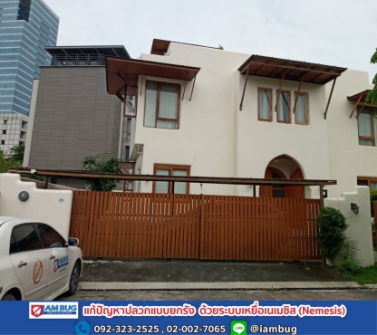 บริษัทกำจัดแมลงราคาถูก - บริษัทกำจัดปลวก ปทุมธานี - ไอ แอม บัก