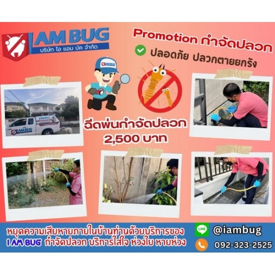 บริษัทกำจัดปลวก ปทุมธานี - ไอ แอม บัก - กำจัดปลวก ปทุมธานี