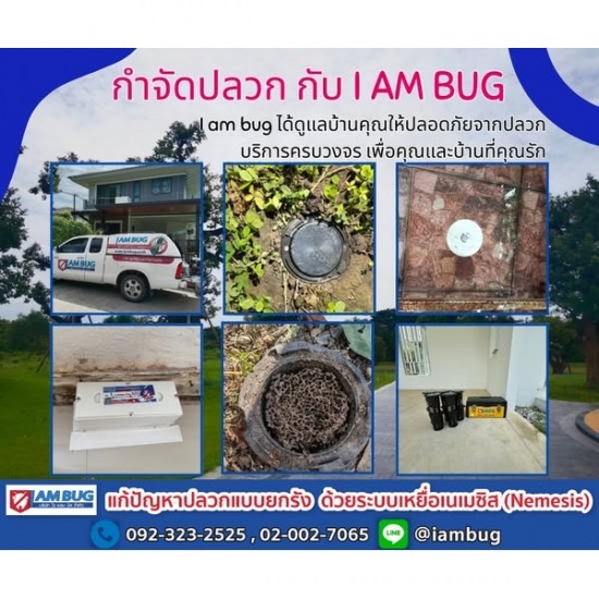 กำจัดปลวก เหยื่อกำจัดปลวก ปทุมธานี - ไอ แอม บัก - กำจัดหนู ราคาถูก