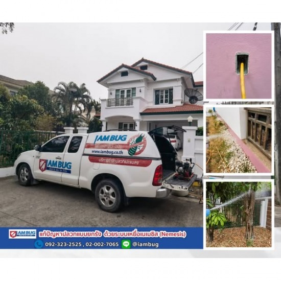 กำจัดปลวก เหยื่อกำจัดปลวก ปทุมธานี - ไอ แอม บัก - รับฉีดกำจัดปลวก ปทุมธานี