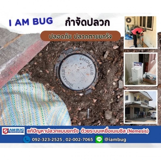 กำจัดปลวกยกรัง ราคา วางท่อกำจัดปลวกราคาถูก  วางท่อกำจัดปลวกปทุมธานี  กำจัดปลวกยกรัง อยุธยา  วางท่อกำจัดปลวกลำลูกกา  รับวางท่อกำจัดปลวก  บริษัทรับวางท่อกำจัดปลวก  กำจัดปลวกยกรัง นนทบุรี  กำจัดปลวกยกรัง ราคาถูก  บริษัทรับกำจัดปลวกยกรัง  รับกำจัดปลวกยกรัง 