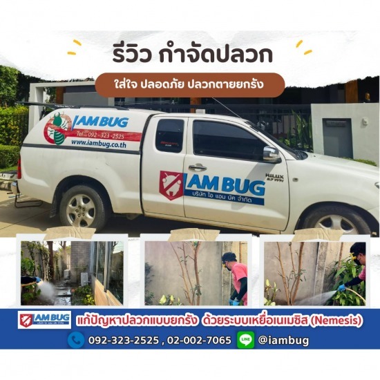 กำจัดปลวก เหยื่อกำจัดปลวก ปทุมธานี - ไอ แอม บัก - บริษัทกำจัดแมลงสาบรังสิต