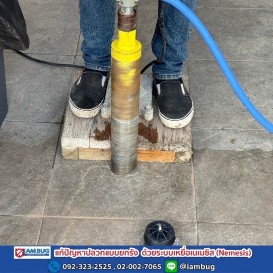 กำจัดปลวก เหยื่อกำจัดปลวก ปทุมธานี - ไอ แอม บัก - กำจัดปลวก นนทบุรี