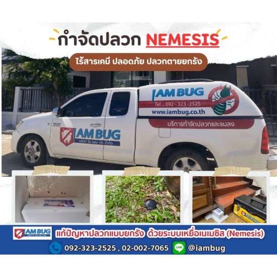 ฉีดปลวกที่ไหนดี บริษัทรับกำจัดแมลง ราคา  ฉีดปลวกที่ไหนดี ราคาเบาๆ  ฉีดปลวกที่ไหนดี ปทุมธานี  กำจัดปลวก ราคาถูก  ฉีดปลวกที่ไหนดี อยุธยา  วางท่อกำจัดปลวกราคาถูก  ฉีดปลวกที่ไหนดี นนทบุรี  รับวางท่อกำจัดปลวก  บริษัทกำจัดปลวกที่ไหนดี  ฉีดปลวกที่ไหนดี 