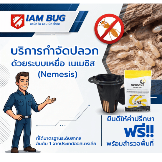 กำจัดปลวกด้วยเหยื่อล่อปลวก Nemesis